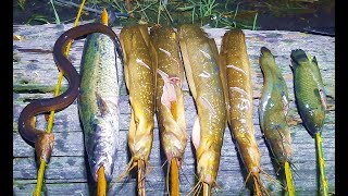 Download lagu Nikmatnya Ikan Segar Hasil Mancing Langsung Di Bakar, Manis Gurih  Rasanya mp3