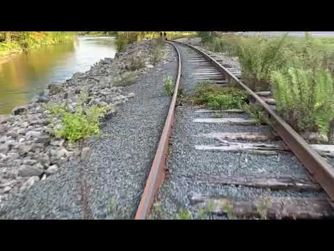 Rail biking in the Catskill Mountains. October 3, 2020.