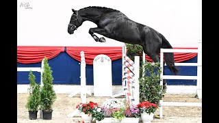 Video of Stakkantano
