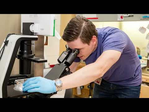 Conquering KRAS in Pancreatic Cancer