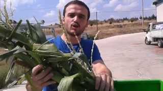 yem kırma makinası,cevher süt sağım mak,05323939213 sılaj makinası,yem kırma makinaları,yem kırma