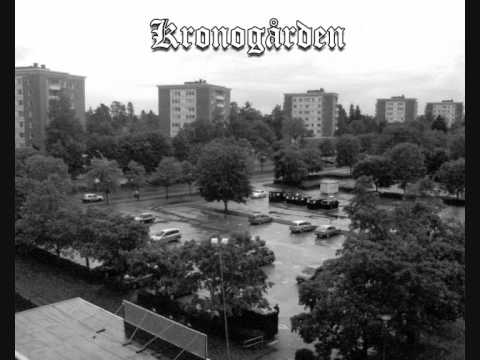 Maykel Ro Ft Sicckoo - Im Ridin