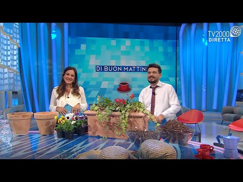 Di buon mattino - 20 settembre 2021