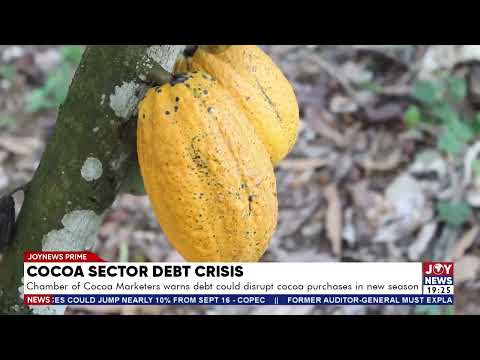 Chamber of Cocoa Marketers warns debt could disrupt cocoa purchases in new season.