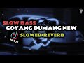 DJ GOYANG DUMANG NEW SLOWED REVERB VIRAL TIKTOK SLOW BASS YANG KALIAN CARI CARI