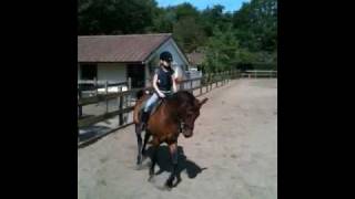 preview picture of video 'Judith aan het paardrijden'