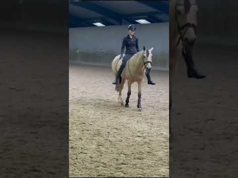 Experiences and Tacking