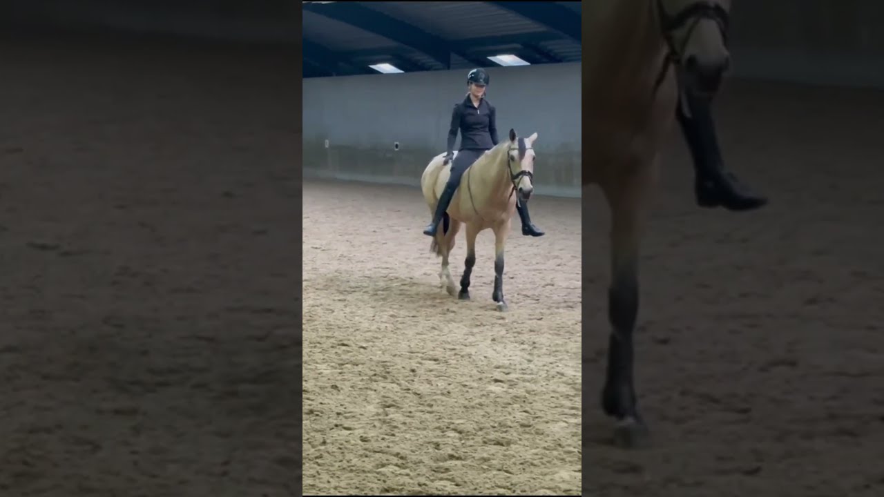 Castenrayseweg Champagnero WNE video 3