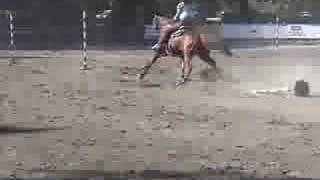 preview picture of video '2008 WOODSIDE RODEO POLE BENDING'