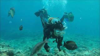 沖縄 青の洞窟 体験ダイビング Gopro
