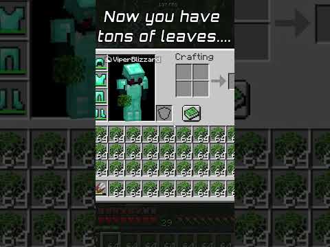 VAID SMP - Minecraft Survival Server IP
