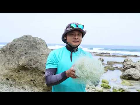 2025雙十國慶影片「堅韌的台灣」