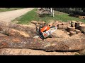 Stihl MS 241 C M 35 Cm Picco 1 3mm Stock
