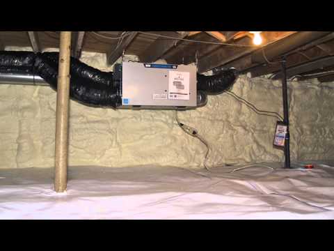 What is the best way to treat a mold infested, dirt crawl space?