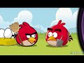 Angry Birds Animation Accidental Meeting Short