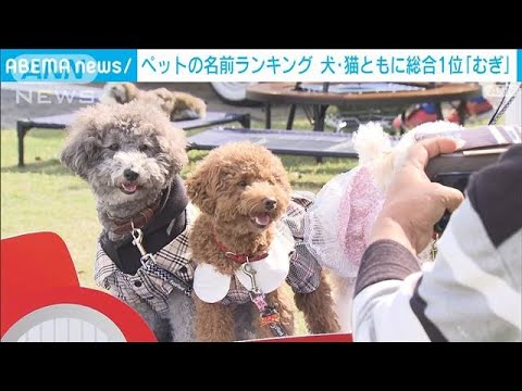 ギリシャ神話に登場する猫と犬の名前