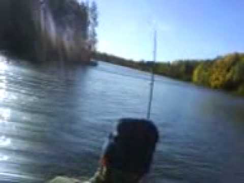 toutaimen väsytystä kulovedellä