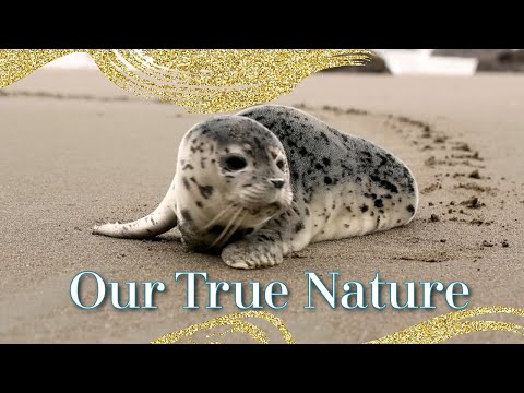 Nonduality - Awakening to Our True Nature