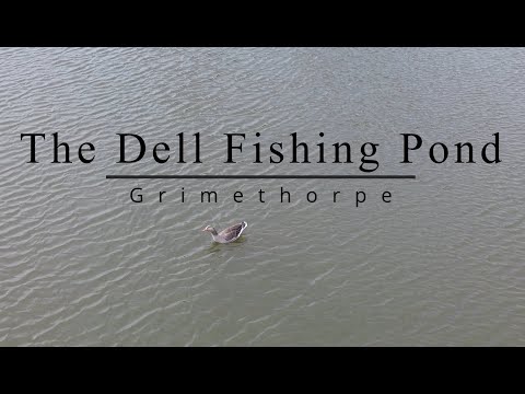 The Dell Fishing Pond, Grimethorpe, UK - DJI Mini 3 Drone test drive