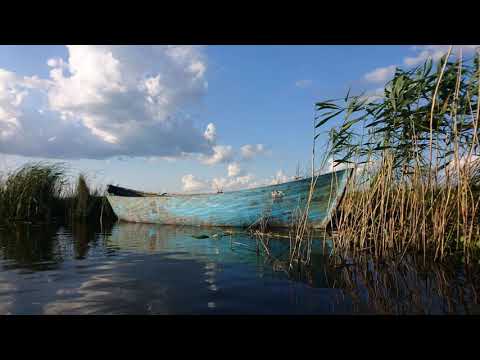 nvmnd ❌ Nimeni Altu' - În Păunița