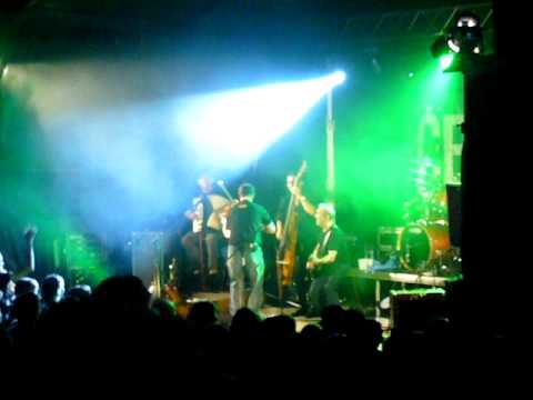 Čechomor - V zeleném hájku