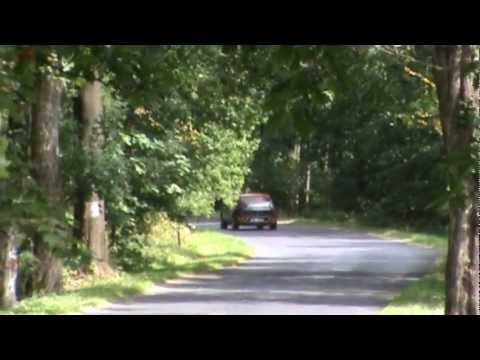 3 WALIM TROPHY 2012 RENAULT CLIO WILLIAMS