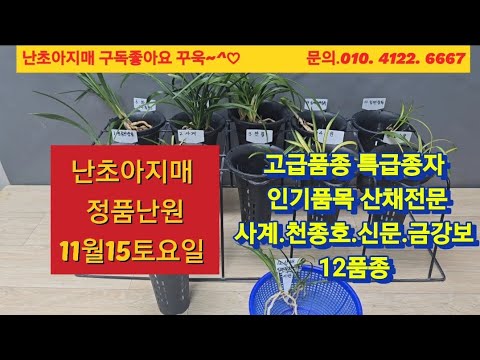 유튜브 썸네일