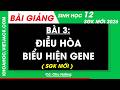 Bài giảng Sinh học 12 Bài 3. Điều hòa biểu hiện gene