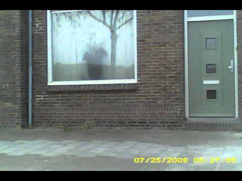 SUNP0hoensbroek de  passart 21  4 2014  spycam