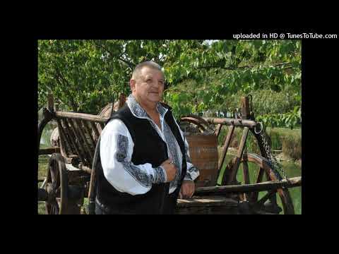 Prof.Petrica Moise - Asa-mi zic mandrele mie (Ardeleana) AUDIOTIM