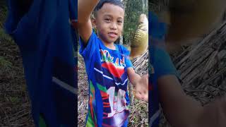 Download lagu itat strike ikan bangah besar mp3 Download lagu itat strike ikan bangah besar mp3