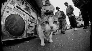 LOST & RARE 90’s HIP-HOP – Legendary Old School Hip Hop Mix