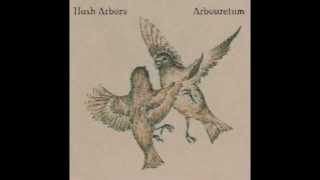 Arbouretum - New Scarab