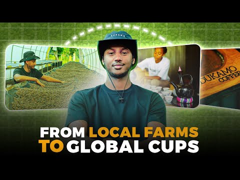 Ethiopia's coffee Journey: From Local Farms to Global Cups
