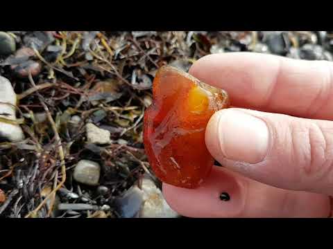 Bernstein Fund am Ostseestrand