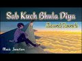 Sab Kuch Bhula Diya | (Slowed Reverb) Lofi Mix | Lofi Slowed Reverb | Old is Gold | 90's Hit Song