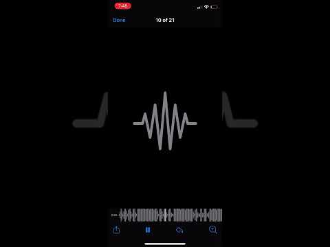 chai benji x fredo bagz x d