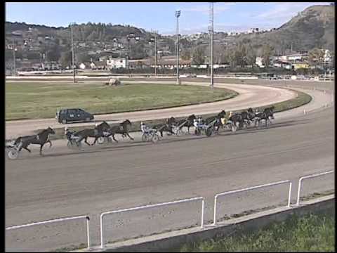 Trotto 26/02/2015 - 2° corsa