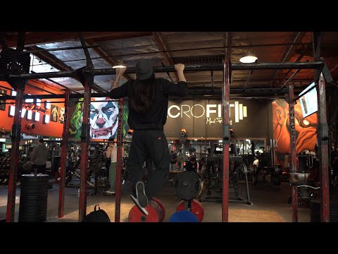 Spring Bulk Arc: Day 132 | Back & Biceps 232.5lb