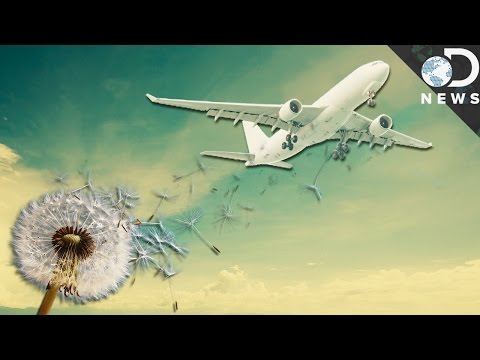 是什麼材料使得飛機如此輕盈？ (What Makes Airplanes Light Enough To Fly?)