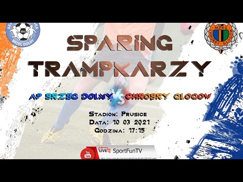Sparing AP Brzeg Dolny & Chrobry Głogów