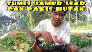 Download lagu TUMIS JAMUR LIAR DAN PAKIS HUTAN 😱 mp3 Download lagu TUMIS JAMUR LIAR DAN PAKIS HUTAN 😱 mp3