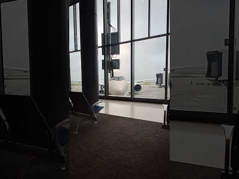 Ey151 Flight Current Status
