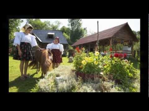 Cazare Pensiunea Rustic - Oncesti Maramures.wmv