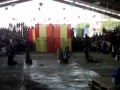 PINILISA CLDC