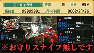 【MHXX】プレイ時間8000の装備マイセット全40種類大紹介！【 モンハンダブルクロス 】