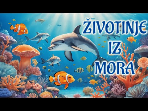 Životinje iz mora 🌊🐠 | Upoznaj morske životinje – Edukativni video za djecu 🎓🧒