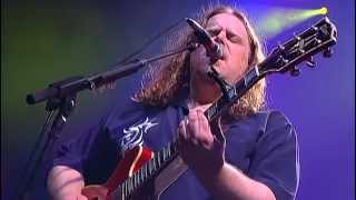 Gov't Mule - Lay Of The Sunflower