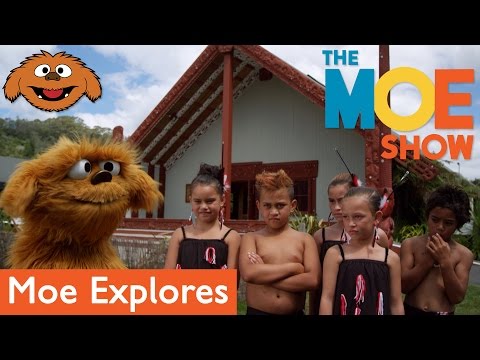 The Moe Show: Moe Explores - Kapa Haka