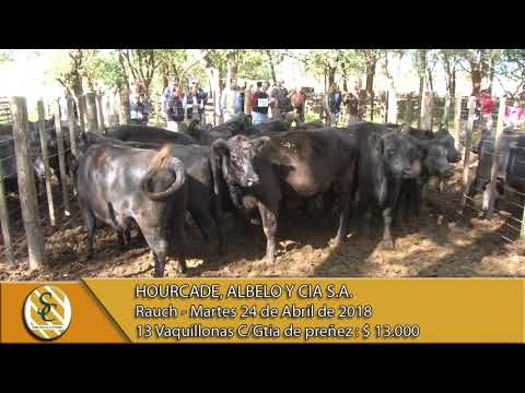 24-04-18 Venta de Vientres - Hourcade, Albelo y Cia S.A. - Rauch.